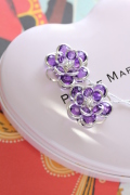 Flower�ӥ��塼