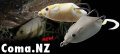 Whiplash Factory �����åץ�å��� �ե����ȥ꡼ ��COMA NZ��