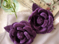 �ѥ���۲֥��������塡�٥���������ꥢ violet