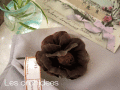 �ѥ���۲֥��������塡���ƥ󡡥�ʥ󥭥������marron