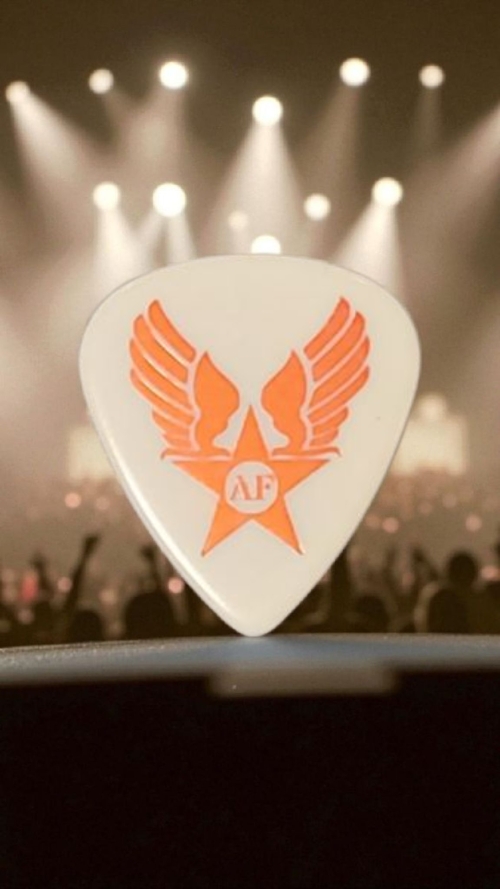 ARMSFACTORYオリジナルピック10枚セット