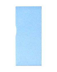 ゴム氏名印　25×6mm　青　タテ書き