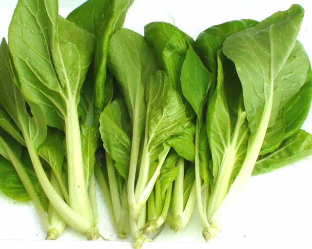 オーガニックベジのしろな