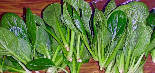 オーガニックベジの小松菜