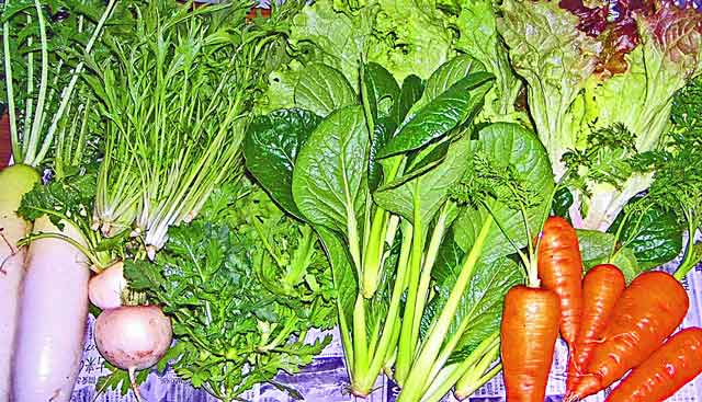 ひらく農園旬の野菜セット（ライト1300）