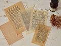 �Ž� WAX�ڡ��ѡ�SET