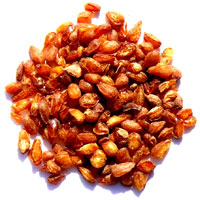 �ڤ��ɤ�3�ޤ�����̵�������ڤ�����300g��������ä��󤽤���100�����å�������