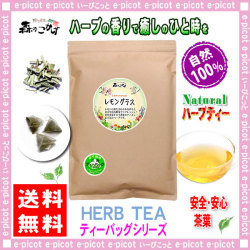 ������̵���ۥ��󥰥饹�ƥ���[1.5g��50TB����]��̳�Ѣ㥷�󥰥�ϡ���TB��