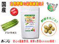 ������̵���۹񻺥����ѥ��250mg��180γ�ˤ䤵���Υ��ץ���Ȣ��ޤ뤴�ȼ�����ڡʹ���ڡ�