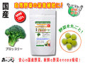 ������̵���۹񻺥֥��å��꡼��250mg��180γ�ˤ䤵���Υ��ץ���Ȣ��ޤ뤴�ȼ�����ڡʹ���ڡ�