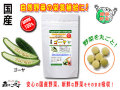 ������̵���۹񻺥������250mg��180γ�ˤ䤵���Υ��ץ���Ȣ��ޤ뤴�ȼ�����ڡʹ���ڡ�