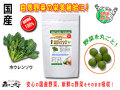 ������̵���۹񻺥ۥ���󥽥���250mg��180γ�ˤ䤵���Υ��ץ���Ȣ��ޤ뤴�ȼ�����ڡʹ���ڡ�