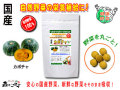 ������̵���۹񻺥��ܥ����250mg��180γ�ˤ䤵���Υ��ץ���Ȣ��ޤ뤴�ȼ�����ڡʹ���ڡ�