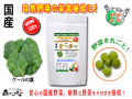 ������̵���۹񻺥������250mg��180γ�ˤ䤵���Υ��ץ���Ȣ��ޤ뤴�ȼ�����ڡʹ���ڡ�