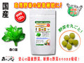 ������̵���۹񻺷����ա�250mg��180γ�ˤ䤵���Υ��ץ���Ȣ��ޤ뤴�ȼ�����ڡʹ���ڡ�