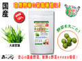 ������̵���۹��������ա�250mg��180γ�ˤ䤵���Υ��ץ���Ȣ��ޤ뤴�ȼ�����ڡʹ���ڡ�
