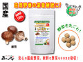 ������̵���۹�������250mg��180γ�ˤ䤵���Υ��ץ���Ȣ��ޤ뤴�ȼ�����ڡʹ���ڡ�