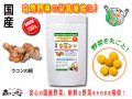 ������̵���۹񻺥������250mg��180γ�ˤ䤵���Υ��ץ���Ȣ��ޤ뤴�ȼ�����ڡʹ���ڡ�