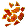 �ڶ�̳�ѥϡ��֥ƥ��ۥ���󥸥ԡ���Υޥ�����ϡ̤����� 500g�������(����󥸤��顦��������)
