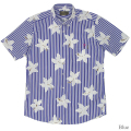 STYLE No.P112240