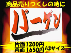 �ѥͥ빩˼