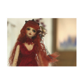 mitsubachi@babybee