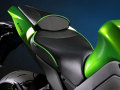 Sargent ������ Kawasaki Ninja 1000 / Z1000('10-) �쥮��顼������ �ѥ��ԥ󥰡��֥�å�