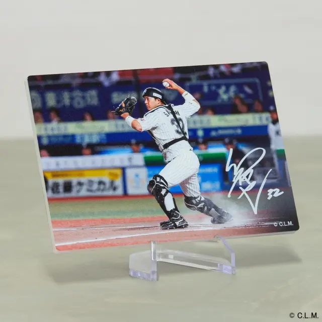 千葉ロッテマリーンズ アクリルフォトパネル