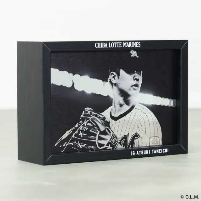 千葉ロッテマリーンズ フォトボックス