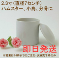 �ھ�ưʪ�ۡ�ʬ���ˤ�ۥڥå��ѹ���2.3����ľ��6�������
