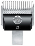 ���ԡ��ǥ������ؿϡ�8mm