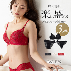 【3点セット】クラシックラメ刺繍レースブラ＆ショーツ（Tバック＋ノーマルショーツ）下着 ブラ 盛れる ブラジャー ブラ＆ショーツセット ブラショーツ ブラショーツセット セットアップ 上下セット ランジェリー 脇高 ラメ レース 刺繍 人気 レディース 女性 インナー