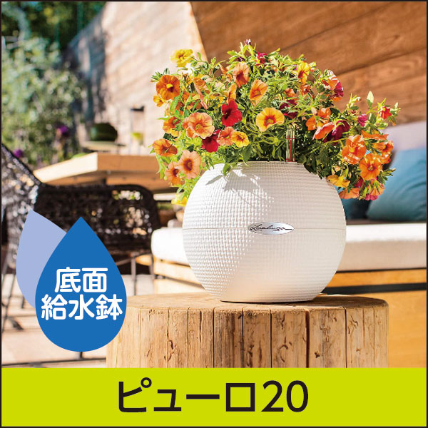 底面給水機能付きプランター【レチューザエコノミー】ピューロ20・LECHUZA・プラスチック製 le6120-smp01-02