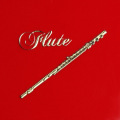 ������ ���ӥ��ƥå��� �ե롼�� flute ���ڻ��� ���ڥ��å� ���ڥ��ե�