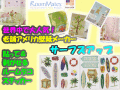 �������ʥǥ�����ڥ���ꥫ���ۡ�Ž�äƤϤ����Ƥޤ�Ž��롡�������륹�ƥå����������ե����åס��롼��ᥤ��