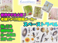 �������ʥǥ�����ڥ���ꥫ���ۡ�Ž�äƤϤ����Ƥޤ�Ž��롡�������륹�ƥå��������ڡ����ȥ�٥롡�롼��ᥤ��