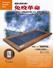 ホルミシス 天然ラジウム鉱石岩盤浴 岩盤ベッド 安眠ショップ ラジウム