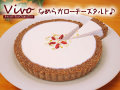 Vivoなめらかローチーズタルト【送料無料】【ロースイーツ】【美容と健康を気遣う方へ】【プレゼント(ギフト)に】【乳製品不使用】