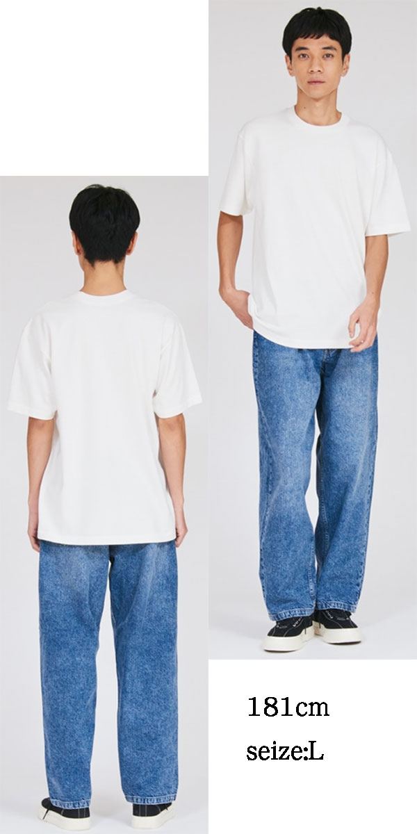 ヘインズ Tシャツ Hanes T-SHIRTS SHIRO クルーネックメンズ レディース 半袖 白T 7.0oz HM1-D201 日本企画 無地 厚手 パックT SHIRO