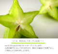 2012ʡ�ޤ��������ݤ󡪡�
