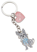 Charm-yorkie
