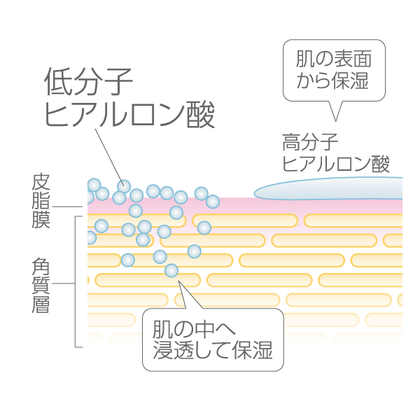 モイスチャークリーム モイスチャークリーム
