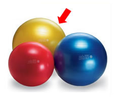 ����˥��ץ饹�ܡ��롡��75cm������