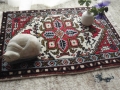 ������ӥ���ߡʸ��إޥåȥ��������ˡ�5207