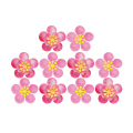 ��10�祻�å�