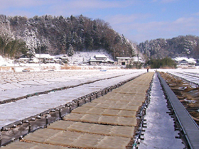 長野県で製造の粉寒天