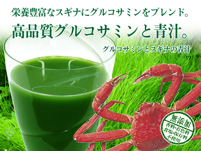 ���륳���ߥ�ȥ����ʤ��Ľ�
