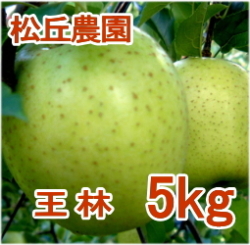 �ڤ�ͽ�������ۤʤ��ʤ꼡�轪λ�����ӡ���kg���ξ��������