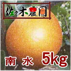 �ڤ�ͽ�������ۤʤ��ʤ꼡�轪λ����塡5kg���κ����������