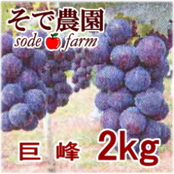 �ڤ�ͽ�������ۤʤ��ʤ꼡�轪λ������������kg���Τ��������